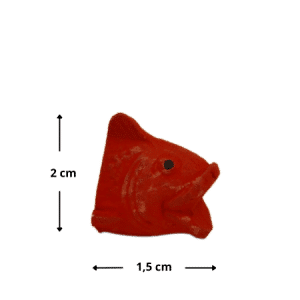 Tête de poisson rouge