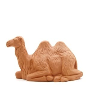 Chameau couché à peindre