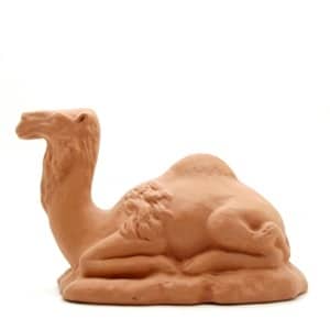 Dromadaire couché à peindre