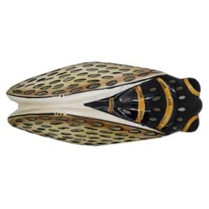 Applique cigale marron