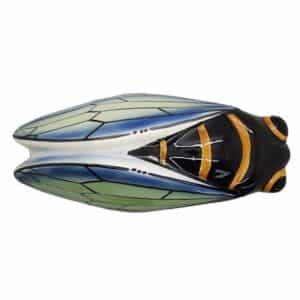 Grande cigale jaune bleue